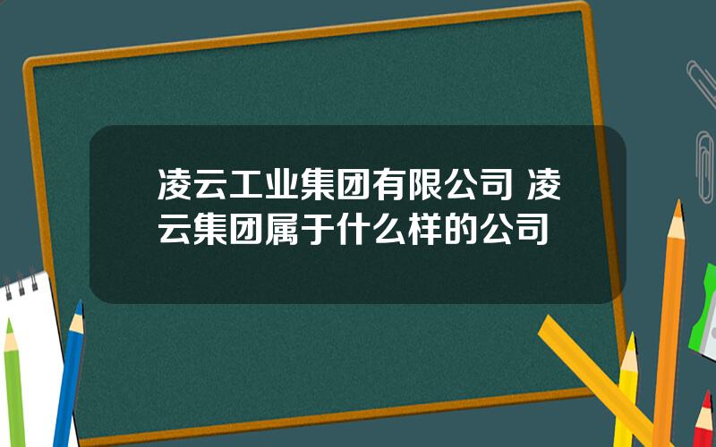 凌云工业集团有限公司 凌云集团属于什么样的公司